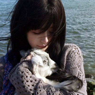 傲骨贤妻第六季